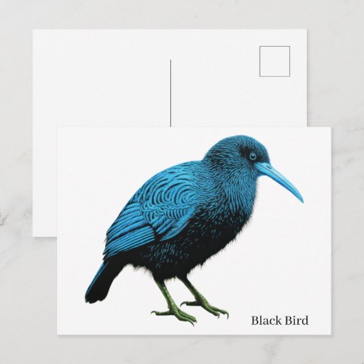Schwarzer Vogel Postkarte (Vorne/Hinten)