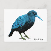 Schwarzer Vogel Postkarte (Vorderseite)
