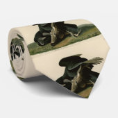 Schwarzer Vulture von Audubons Vögeln in Amerika Krawatte (Gerollt)