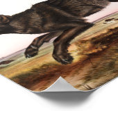 Schwarzer Wolf (Canis lupus) Illustration Poster (Ecke)