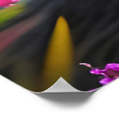 Schwarzer Wolf in rosa Blume Poster (Ecke)