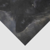 Schwarzer Wolf Intensiver Blick Portrait Seidenpapier (Ausschnitt)