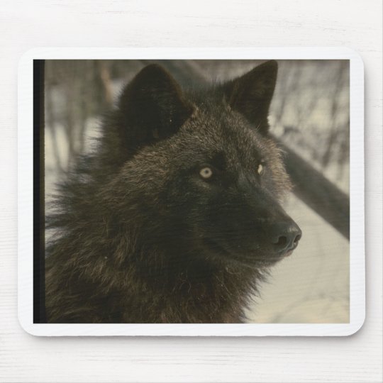 Schwarzer Wolf Mousepad Zazzle De