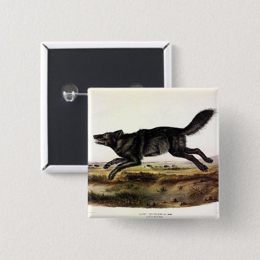 Schwarzer Wolf oder Schwarzer Amerikanischer Wolf Button (Vorne & Hinten)