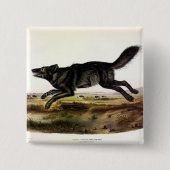 Schwarzer Wolf oder Schwarzer Amerikanischer Wolf Button (Vorderseite)