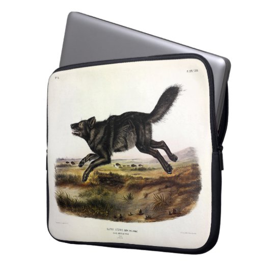 Schwarzer Wolf oder Schwarzer Amerikanischer Wolf Laptopschutzhülle (Vorderseite Links)