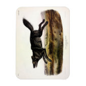 Schwarzer Wolf oder Schwarzer Amerikanischer Wolf Magnet (Vertikal)