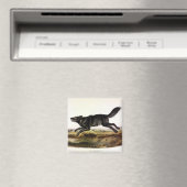 Schwarzer Wolf oder Schwarzer Amerikanischer Wolf Magnet (In Situ (Geschirrspüler))