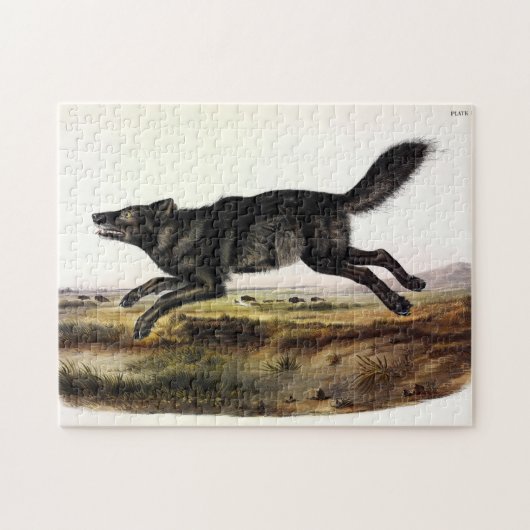 Schwarzer Wolf oder Schwarzer Amerikanischer Wolf Puzzle (Horizontal)