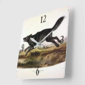 Schwarzer Wolf oder Schwarzer Amerikanischer Wolf Quadratische Wanduhr (Winkel)