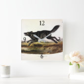 Schwarzer Wolf oder Schwarzer Amerikanischer Wolf Quadratische Wanduhr (Zuhause)