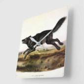 Schwarzer Wolf oder Schwarzer Amerikanischer Wolf Quadratische Wanduhr (Winkel)