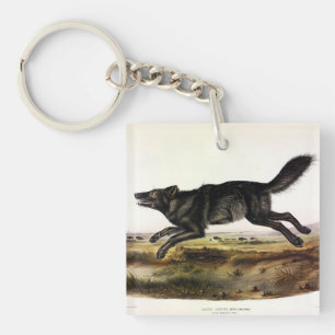 Schwarzer Wolf oder Schwarzer Amerikanischer Wolf Schlüsselanhänger