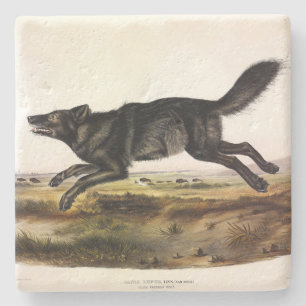 Schwarzer Wolf oder Schwarzer Amerikanischer Wolf  Steinuntersetzer