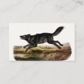 Schwarzer Wolf oder Schwarzer Amerikanischer Wolf Visitenkarte (Rückseite)