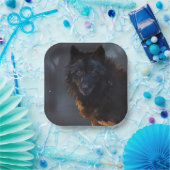 Schwarzer Wolf Pappteller (Party)