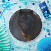 Schwarzer Wolf Pappteller (Party)