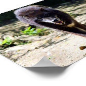 schwarzer Wolf Poster (Ecke)