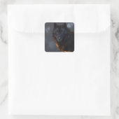 Schwarzer Wolf Quadratischer Aufkleber (Tasche)
