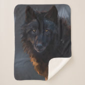 Schwarzer Wolf Sherpadecke (Vorderseite)