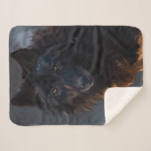 Schwarzer Wolf Sherpadecke (Vorderseite (Horizontal))