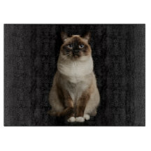 Schwarzes 4 Luxe Glas Schneidbrett Birmanische Kat