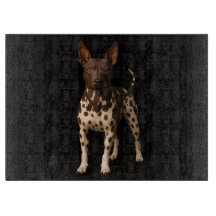 Schwarzes 4 Luxe Glas Schneidbrett Hairless Terrie