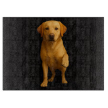 Schwarzes 4 Luxe Glas Schneidbrett Zartes Labrador