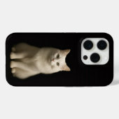 Schwarzes 4 Luxe iPhone 15 Pro Mate Angora-Katze Case-Mate iPhone Hülle (Rückseite (Horizontal))