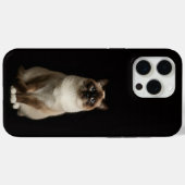 Schwarzes 4 Luxe iPhone 15 Pro Max, Birma-Katze Case-Mate iPhone Hülle (Rückseite (Horizontal))
