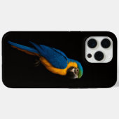 Schwarzes 4 Luxe iPhone 15 Pro Max, Blaugelber Ara Case-Mate iPhone Hülle (Rückseite (Horizontal))