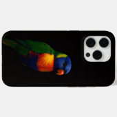 Schwarzes 4 Luxe iPhone 15 Pro Max, Lorikeet Papag Case-Mate iPhone Hülle (Rückseite (Horizontal))