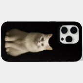 Schwarzes 4 Luxe iPhone 15 Pro Max, Türkische Ango Case-Mate iPhone Hülle (Rückseite (Horizontal))