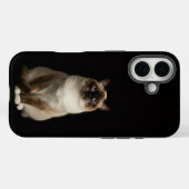 Schwarzes 4 Luxe iPhone 16 Mate, Birma-Katze Case-Mate iPhone Hülle (Rückseite (Horizontal))