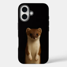 Schwarzes 4 Luxe iPhone 16 Mate, Elegantes Wiesel