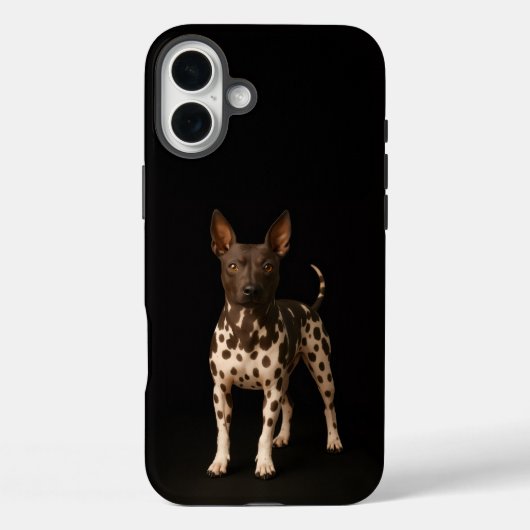 Schwarzes 4 Luxe iPhone 16 Plus, haarloser Terrier Case-Mate iPhone Hülle (Rückseite)