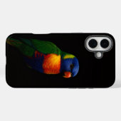 Schwarzes 4 Luxe iPhone 16 Plus, Lorikeet Papagei Case-Mate iPhone Hülle (Rückseite (Horizontal))