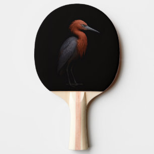 Schwarzes 4 Luxe Ping-Pong-Paddle, Reddish Egret Tischtennis Schläger