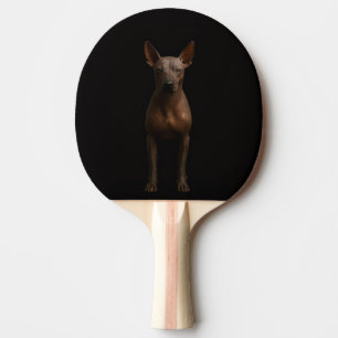 Schwarzes 4 Luxe Ping-Pong-Schläger, Argentina Pil Tischtennis Schläger