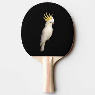 Schwarzes 4 Luxe Ping-Pong-Schläger, Crested Cocka Tischtennis Schläger