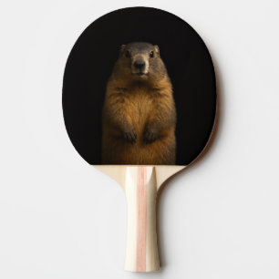 Schwarzes 4 Luxe Ping-Pong-Schläger, Fluffy Marmot Tischtennis Schläger