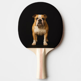 Schwarzes 4 Luxe Ping-Pong-Schläger, Stamina Bulld Tischtennis Schläger