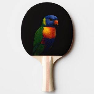 Schwarzes 4 Luxe-Tischtennisschläger, Lorikeet-Pap Tischtennis Schläger