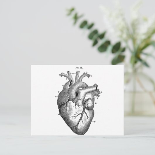 Schwarzes anatomisches Herz Postkarte (Stehend Vorderseite)