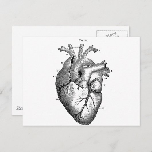 Schwarzes anatomisches Herz Postkarte (Vorne/Hinten)