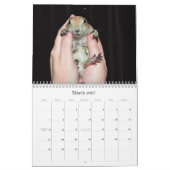 Schwarzes angebundene Präriehunde - Kalender 2013 (Mär 2027)