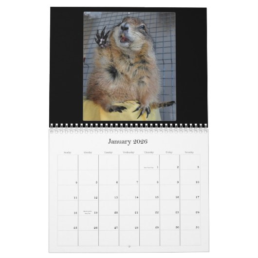 Schwarzes angebundene Präriehunde - Kalender 2013 (Jan 2026)