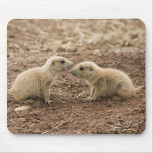 Schwarzes angebundenes Prarie Murmeltier Mousepad