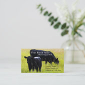 Schwarzes Angus-Vieh, das auf dem Gebiet weiden Visitenkarte (Stehend Vorderseite)