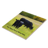 Schwarzes Angus-Vieh, das auf dem gelben Fliese (Seite)